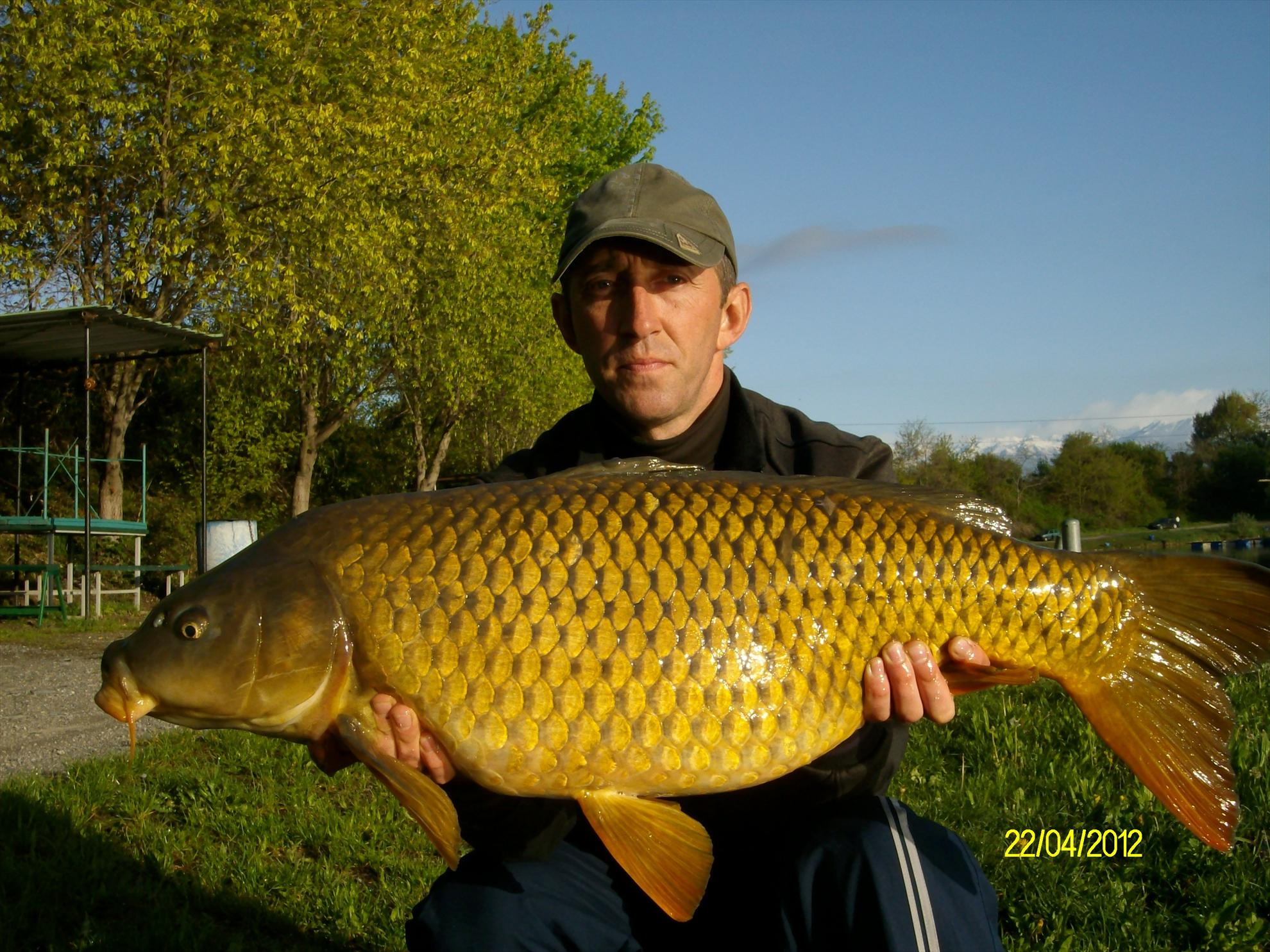 florian tanasa - alim0553.JPG